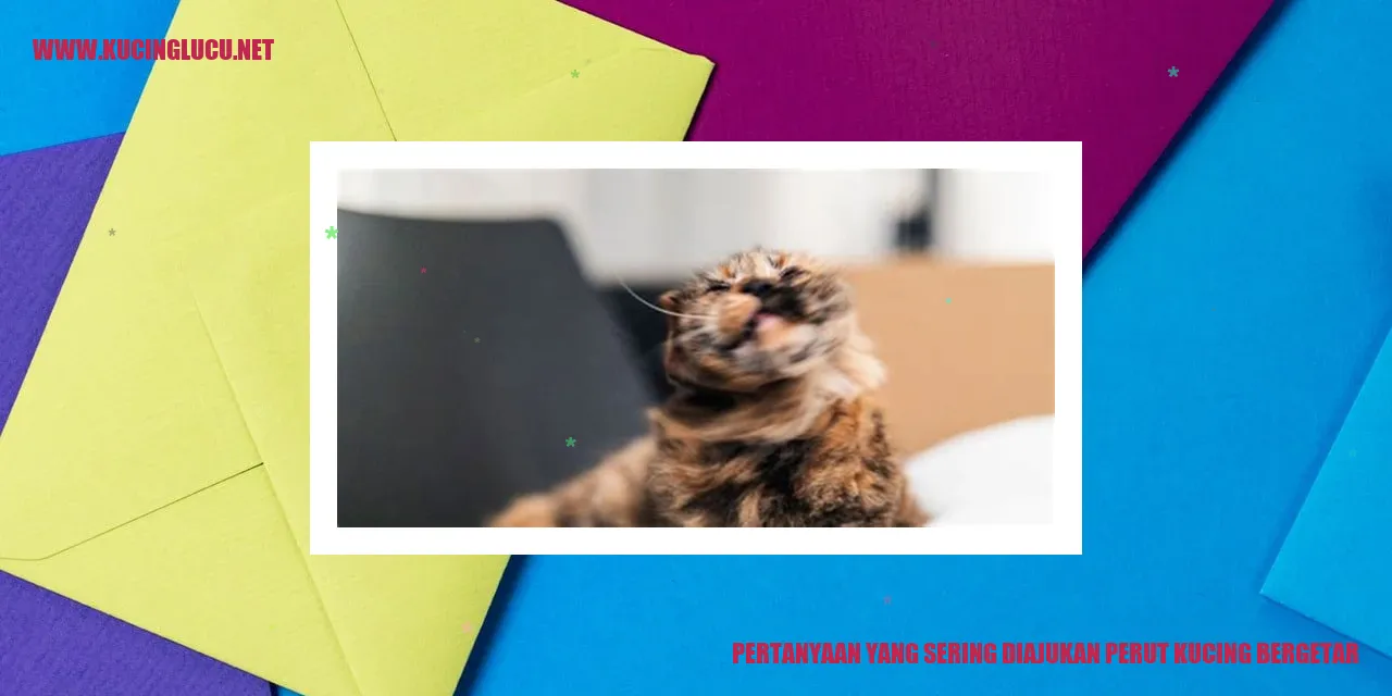 Perut Kucing yang Menggetar
