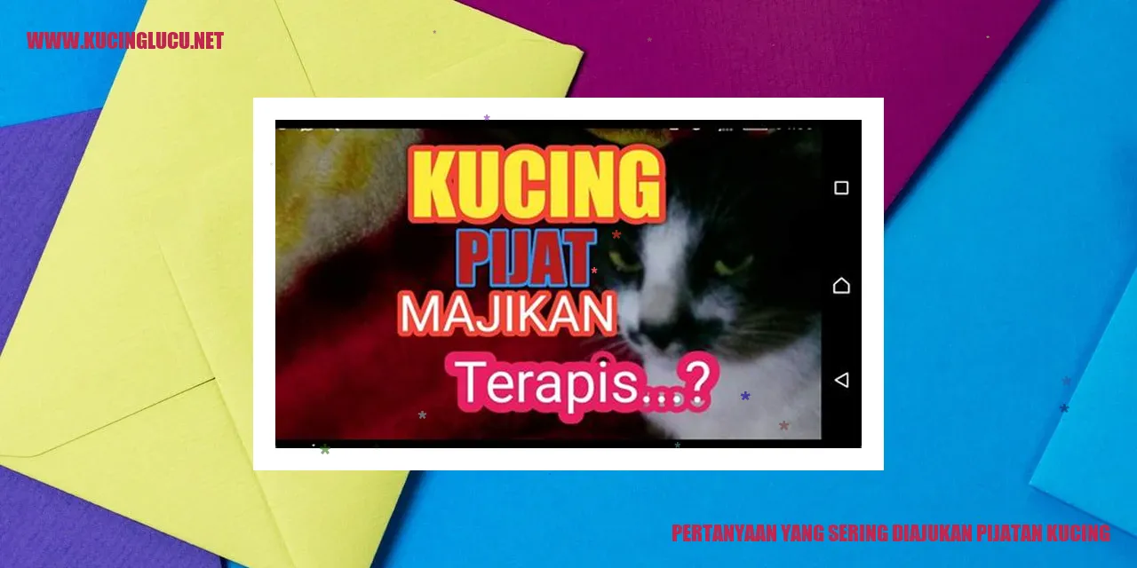 Pertanyaan yang Sering Diajukan pijatan kucing