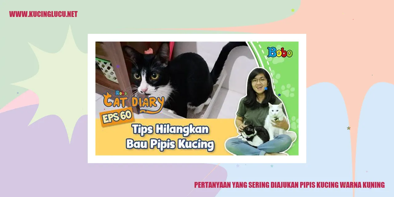 Pertanyaan yang Sering Diajukan pipis kucing warna kuning