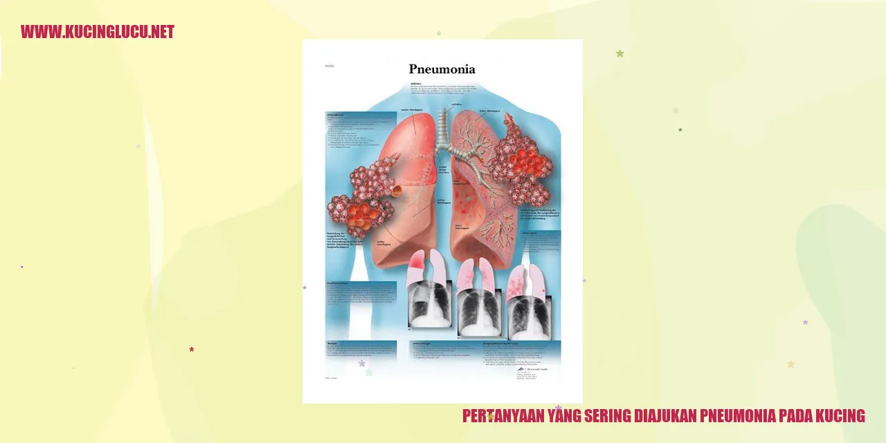 Pertanyaan yang Sering Diajukan pneumonia pada kucing