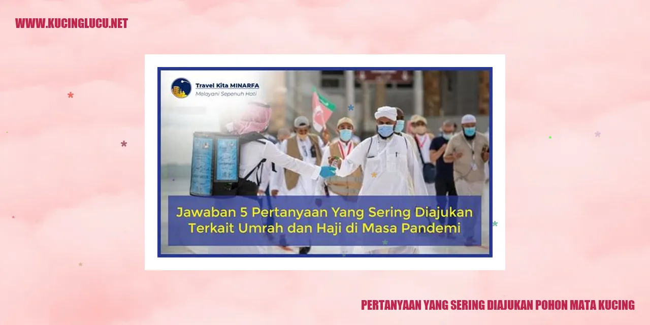 Pertanyaan yang Sering Diajukan tentang Pohon Mata Kucing
