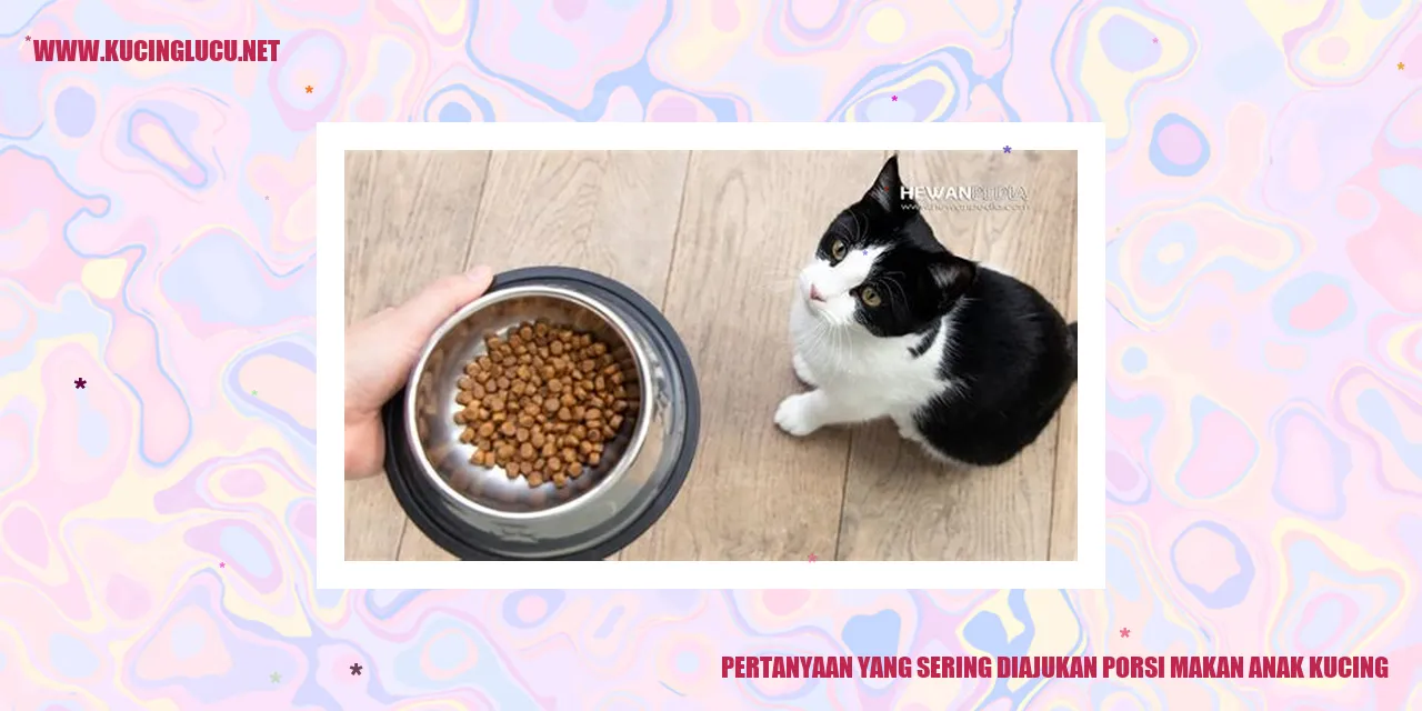 Gambar anak kucing sedang makan