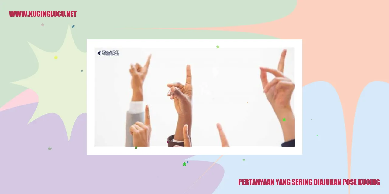 Pose Kucing Menggemaskan