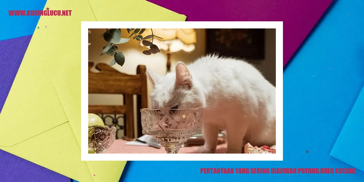 Pertanyaan yang Sering Diajukan potong bulu kucing