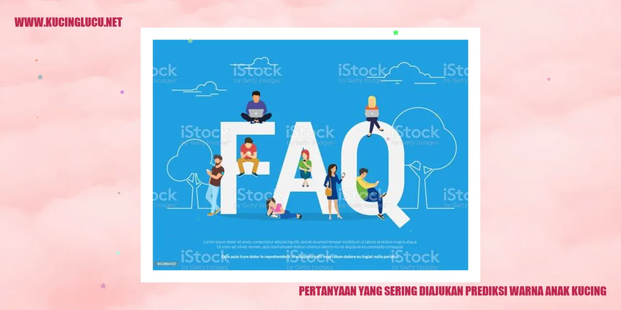 Gambar anak kucing