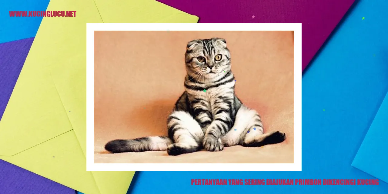 Gambar Kucing