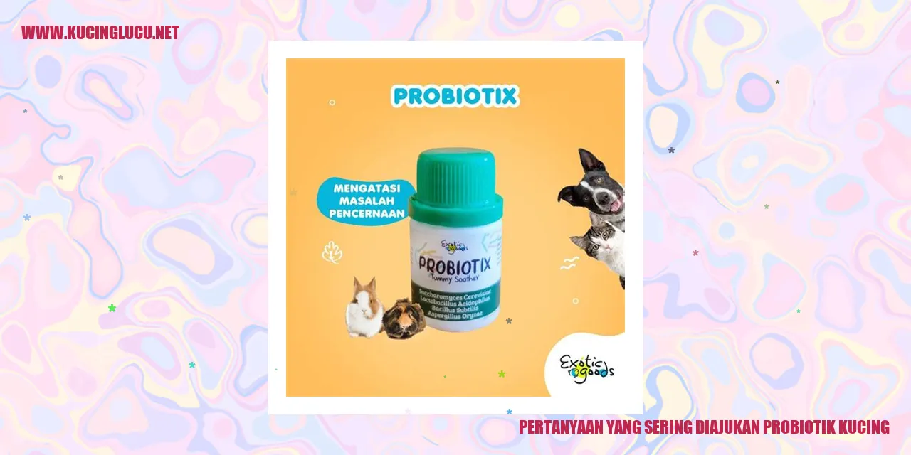 Probiotik untuk Kucing