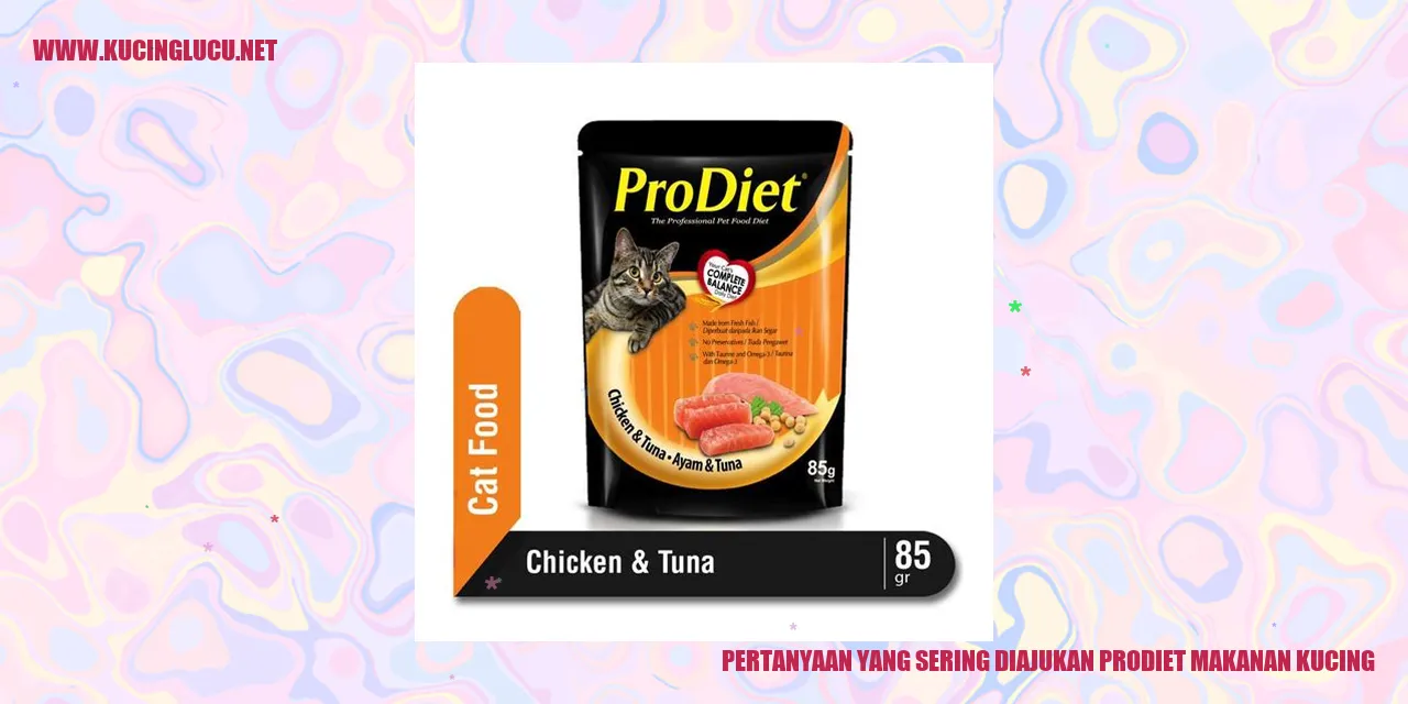 Makanan Kucing
