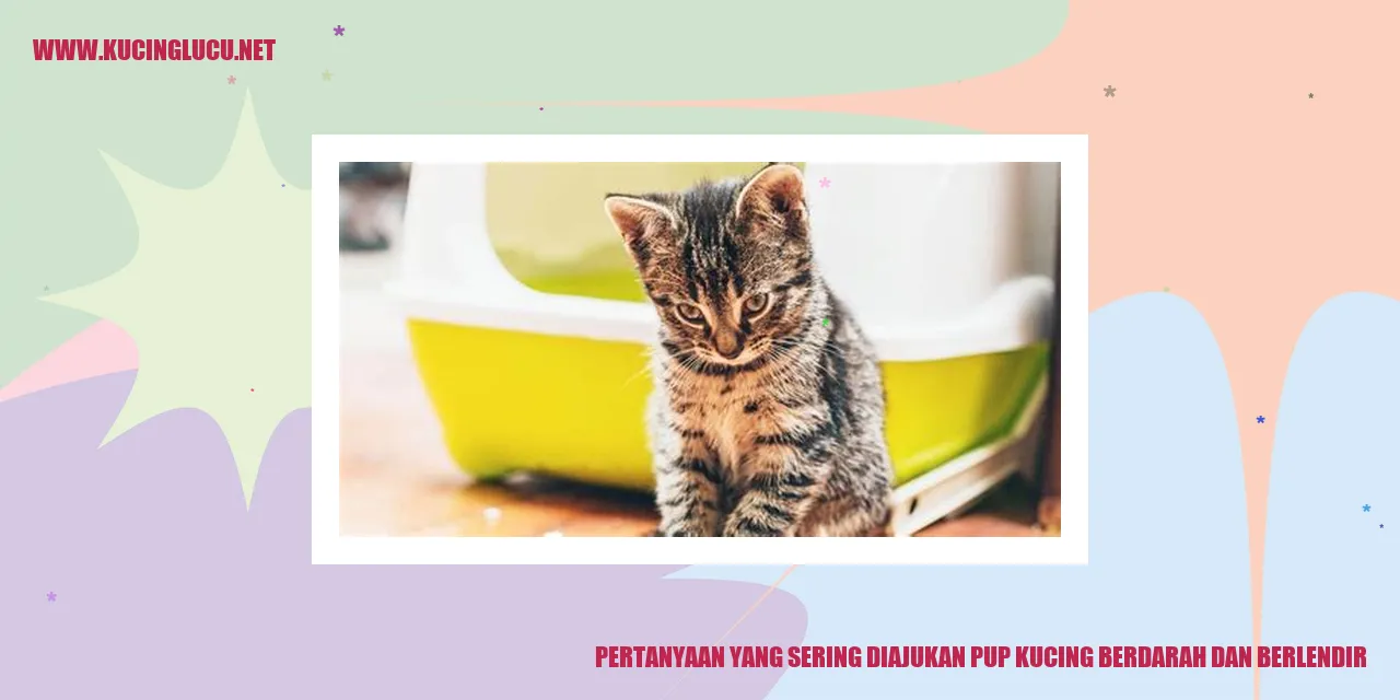 Gambar tentang pertanyaan kucing berdarah dan berlendir