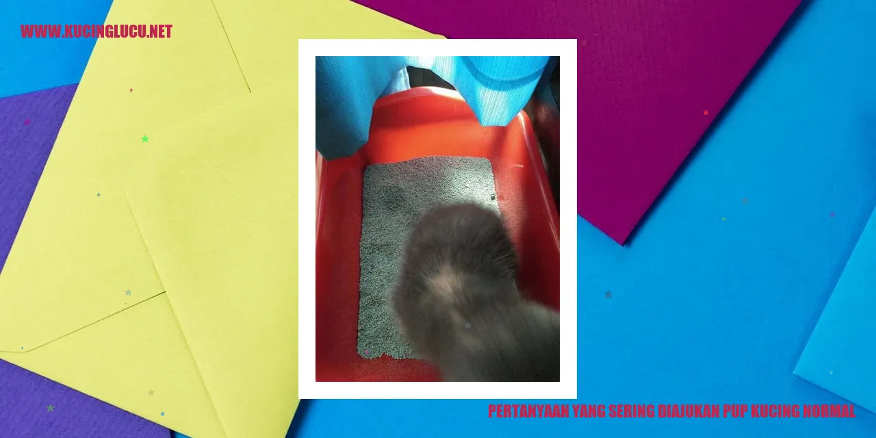 Pertanyaan yang Sering Diajukan tentang Pup Kucing Normal