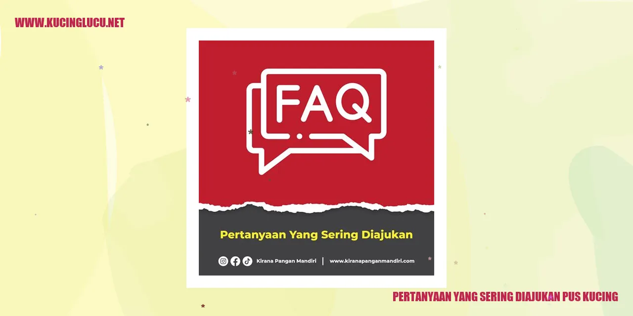 Gambar Pus Kucing