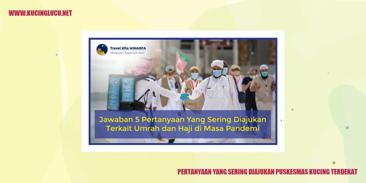 Pusat Kesehatan Kucing Terdekat