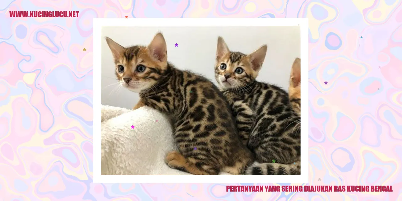 Ras Kucing Bengal