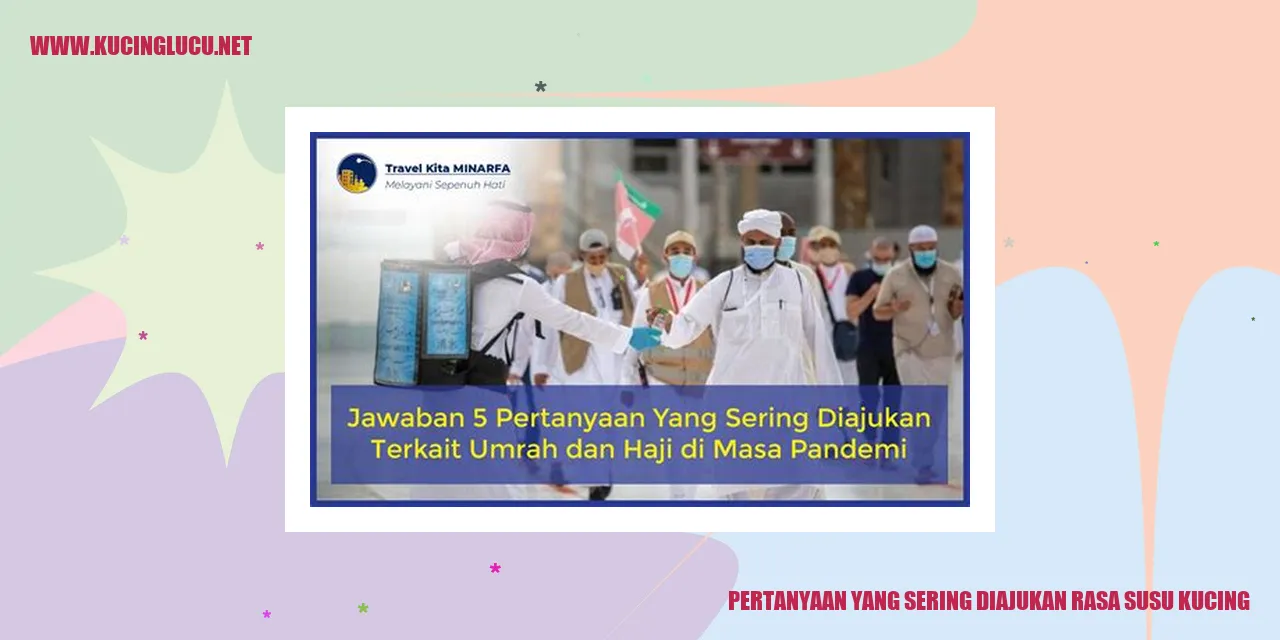 Rasa Susu Kucing