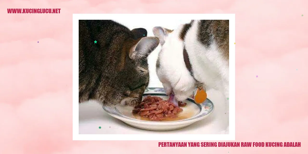 Makanan Mentah untuk Kucing