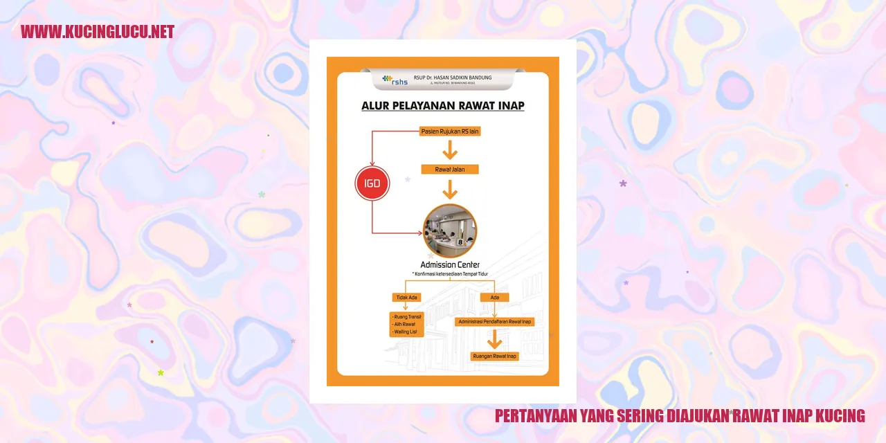 kucing rawat inap