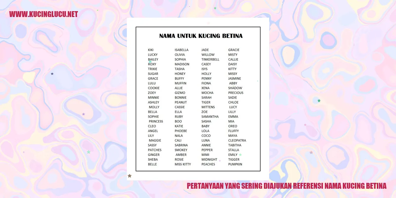 Gambar seekor kucing betina