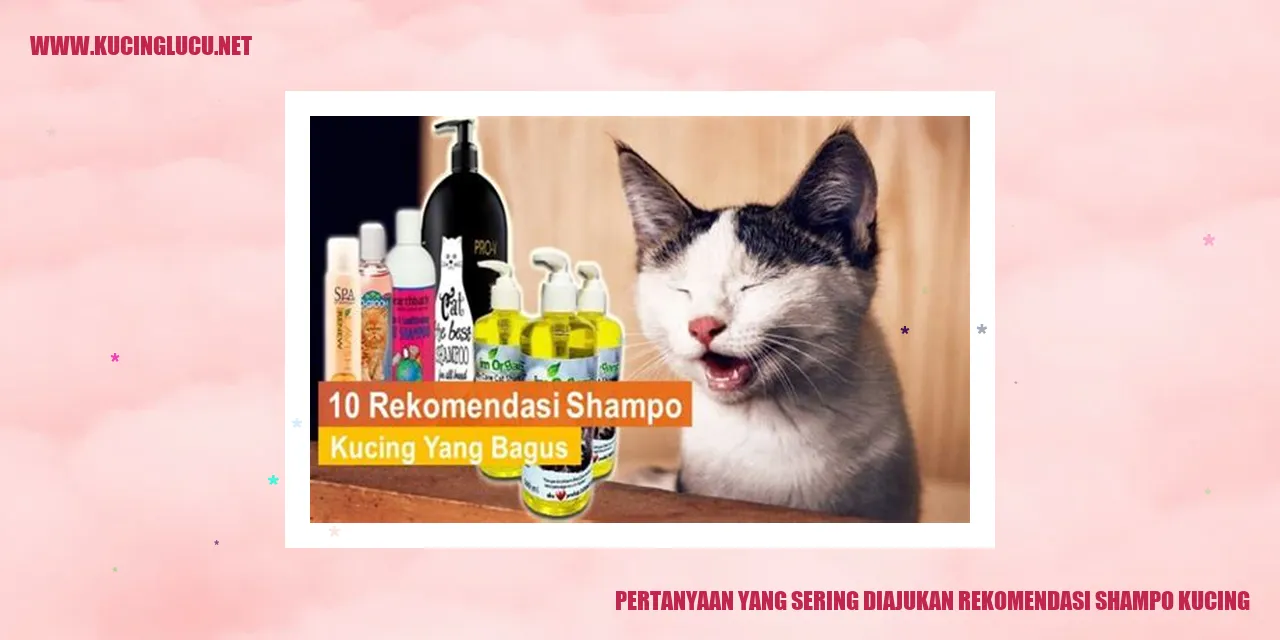 Shampo Kucing Terbaik