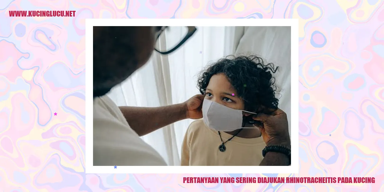 Pertanyaan yang Sering Diajukan rhinotracheitis pada kucing