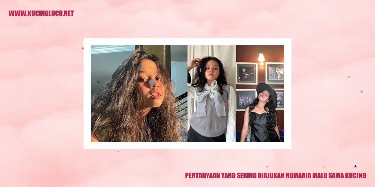 Gambar kucing menggemaskan
