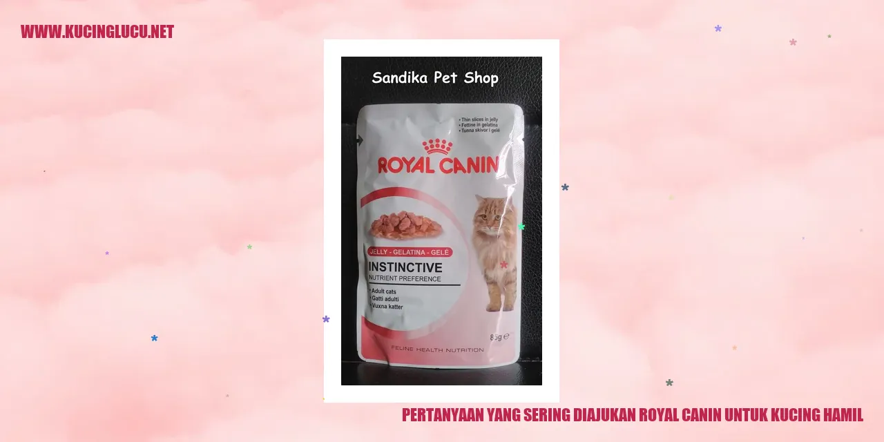 Pertanyaan yang Sering Diajukan oleh Royal Canin untuk Kucing Hamil