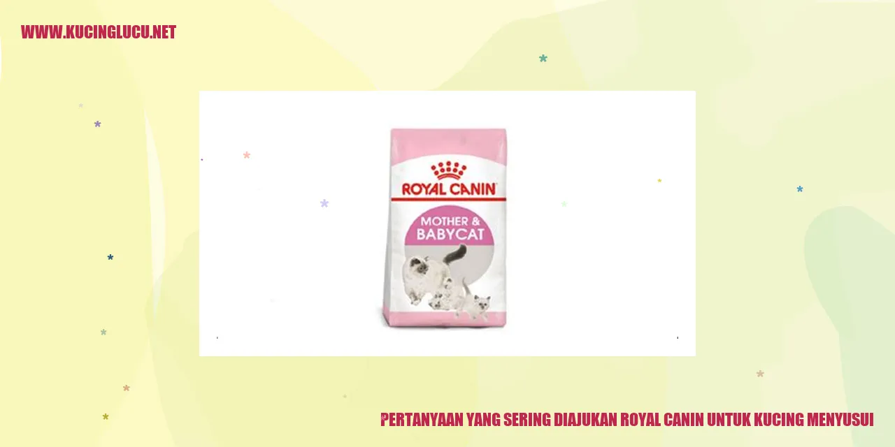 Pertanyaan yang Sering Diajukan Royal Canin untuk Kucing Menyusui