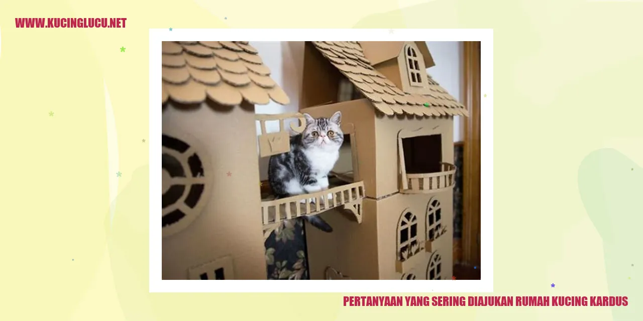 Rumah Kucing Kardus