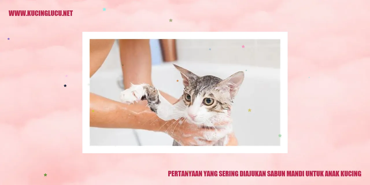 anak kucing mandi