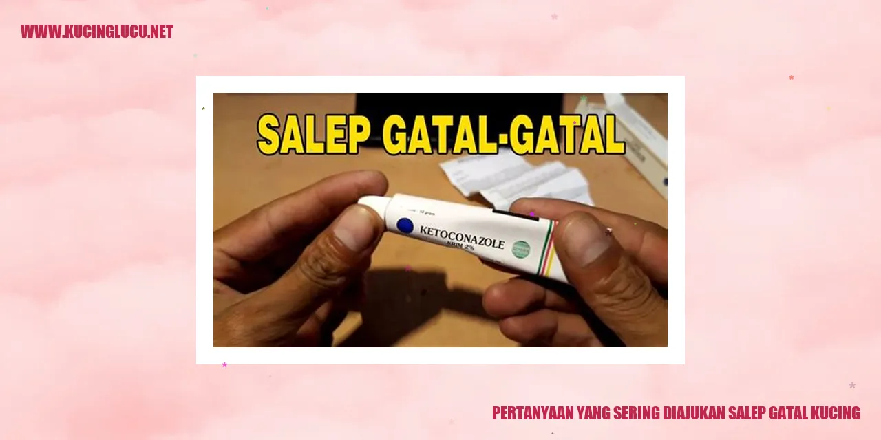 Pertanyaan yang Sering Diajukan salep gatal kucing