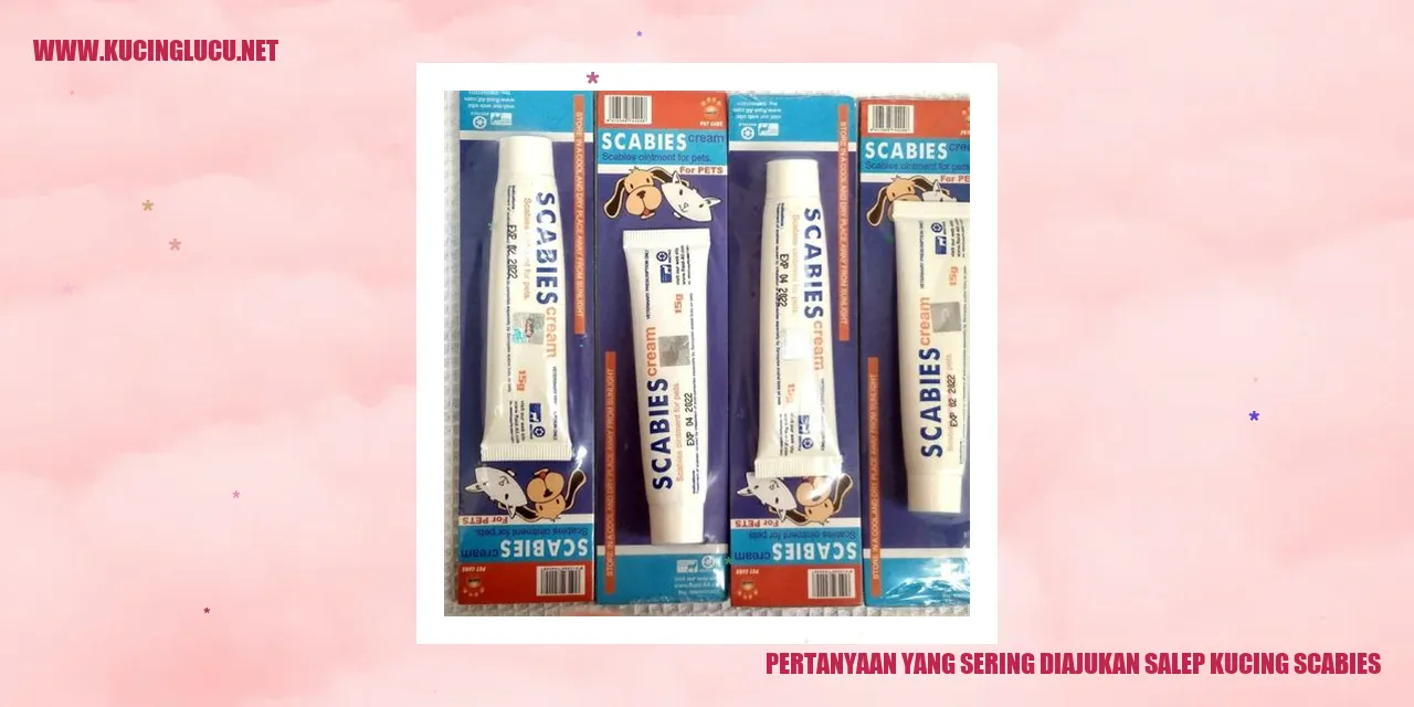 Pertanyaan yang Sering Diajukan tentang Salep Kucing Scabies