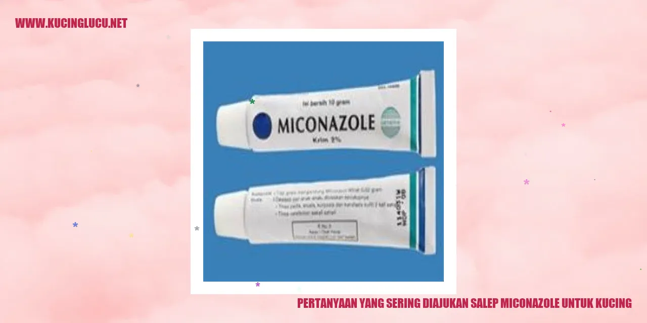 Gambar pertanyaan yang sering diajukan tentang salep miconazole untuk kucing