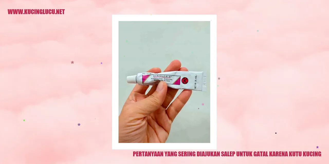 Pertanyaan yang Sering Diajukan salep untuk gatal karena kutu kucing