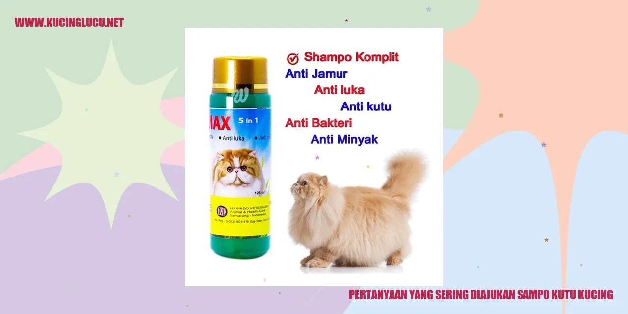 Ilustrasi sampo anti kutu kucing
