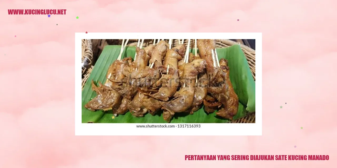 Sate Kucing Manado
