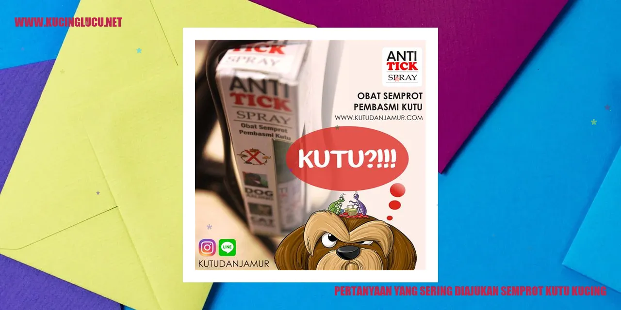 Gambar Kucing Sedang Disemprot Kutu