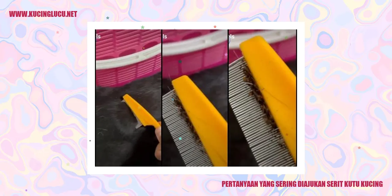 Serit Kutu Kucing