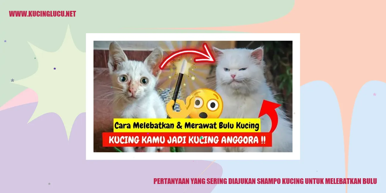 Pertanyaan yang Sering Diajukan Shampoo Kucing untuk Melebatkan Bulu