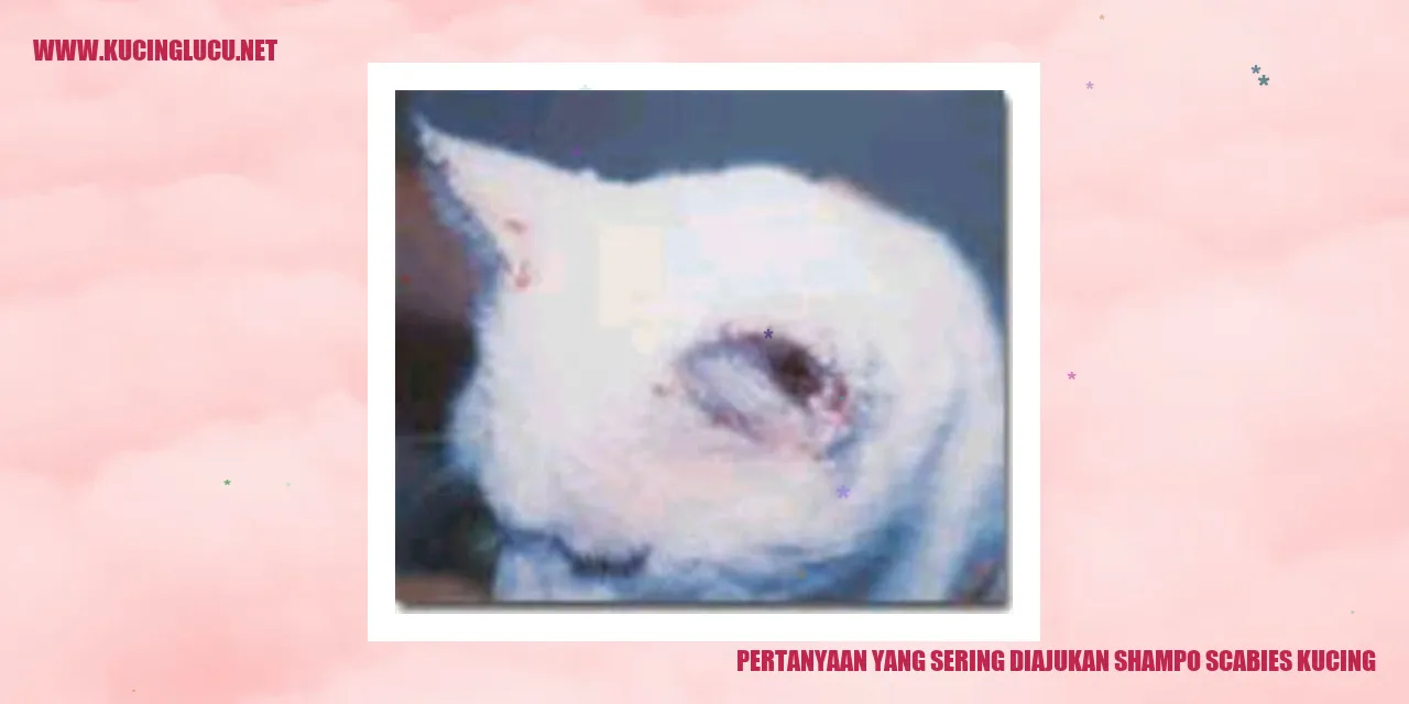 Pertanyaan yang Sering Diajukan shampo scabies kucing