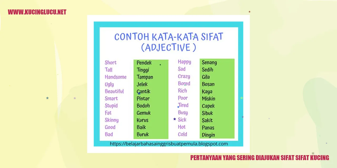 Kucing Lucu