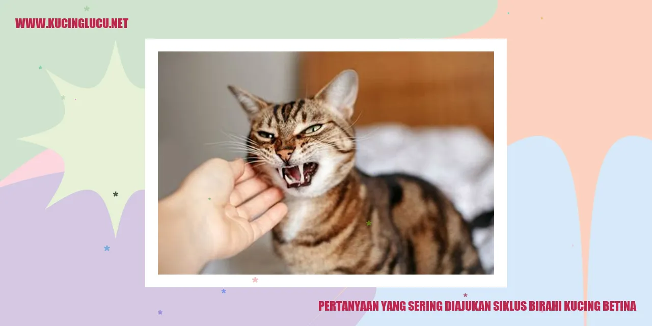 pertanyaan siklus birahi kucing betina