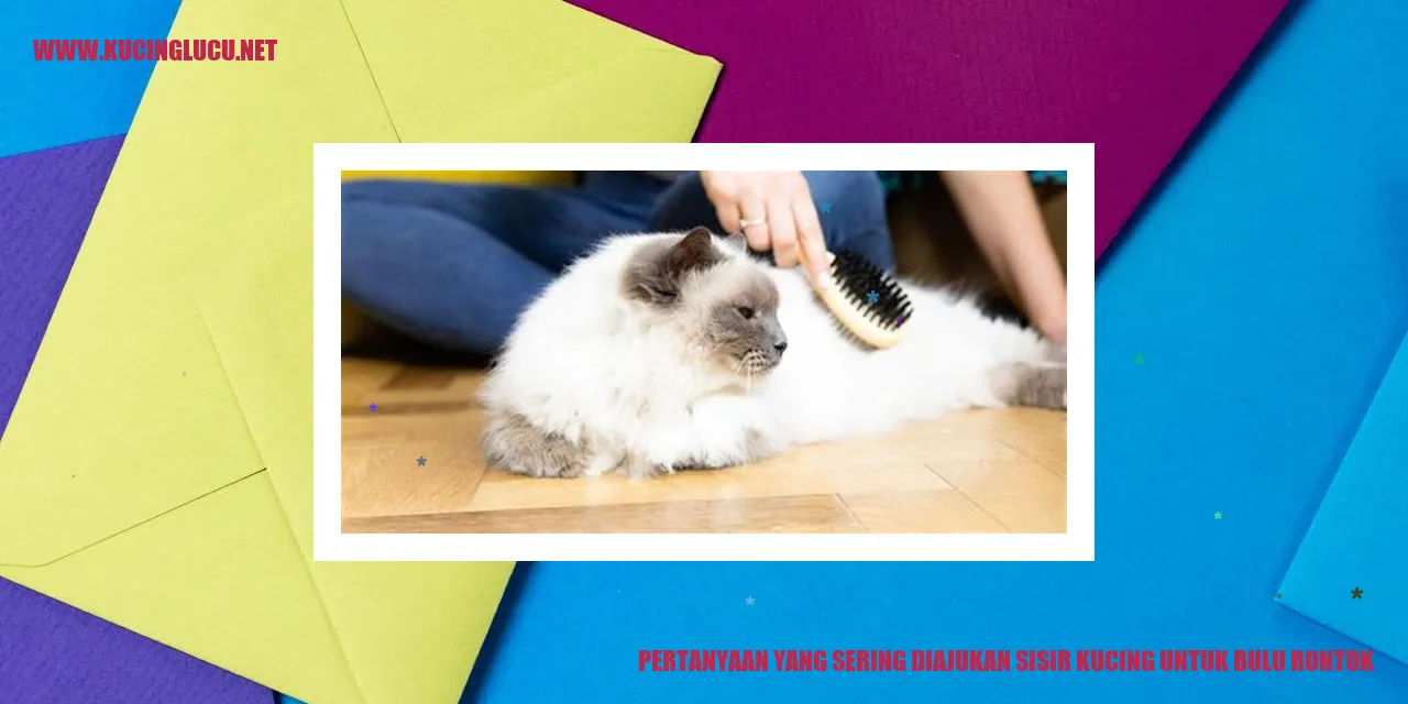 Gambar kucing dengan bulu rontok