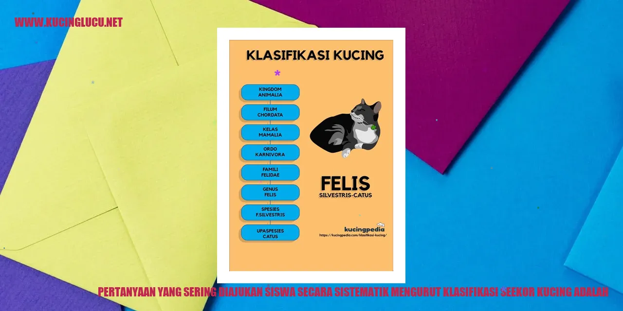 Seekor kucing