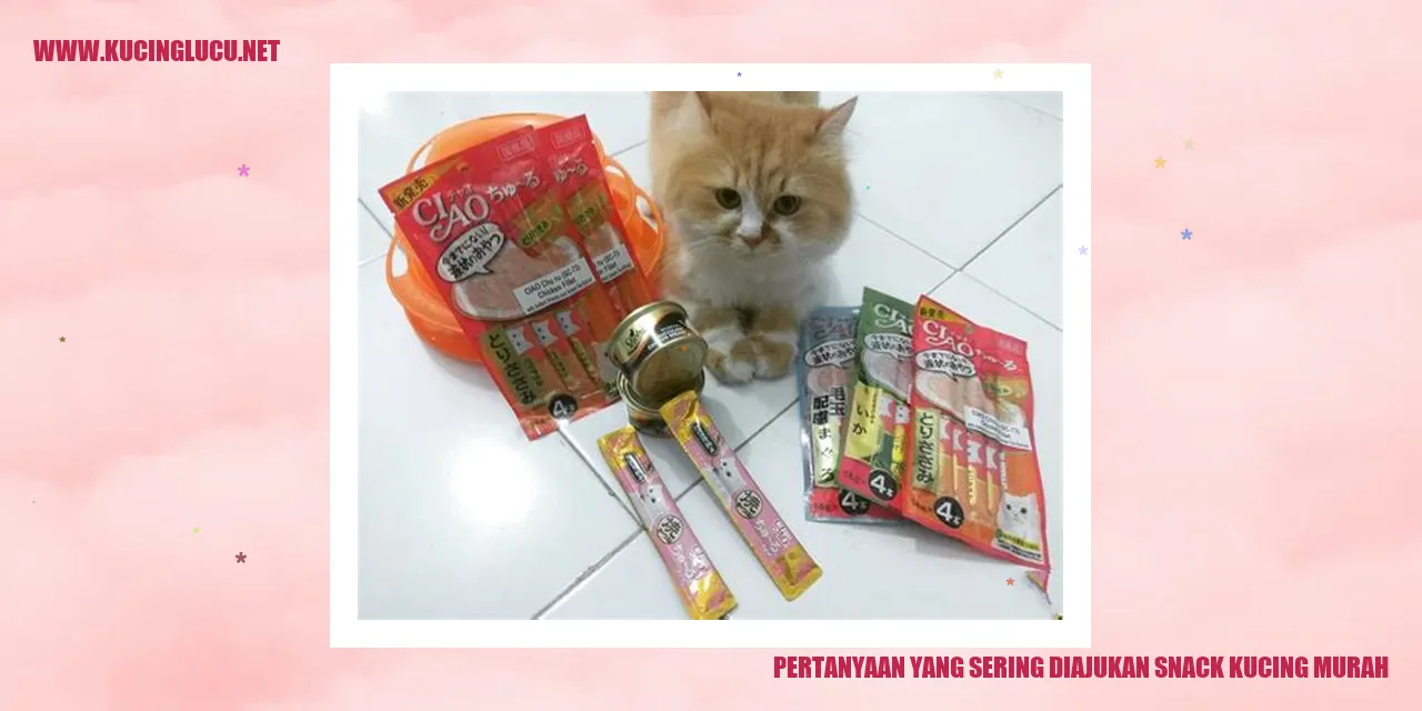 Snack Kucing Murah