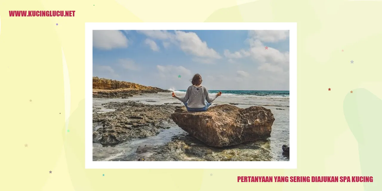 Pertanyaan yang Sering Diajukan spa kucing