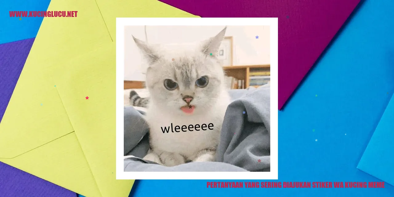 Stiker Kucing Meme di WhatsApp