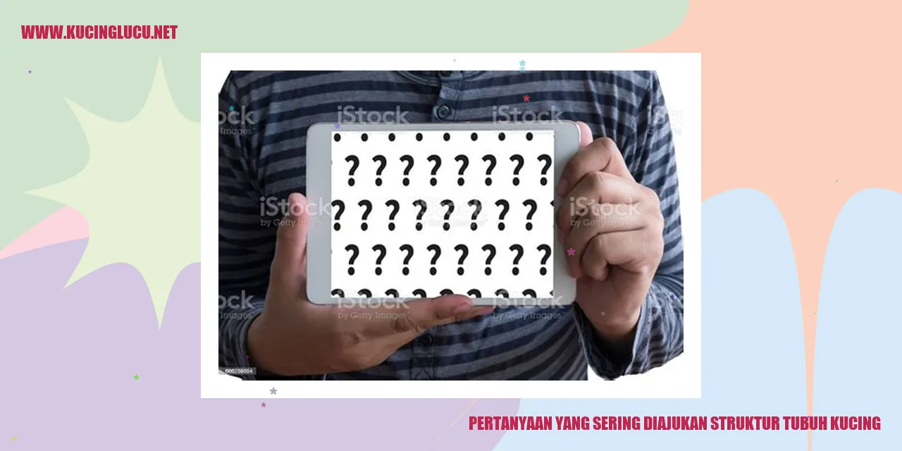 Gambar Kucing