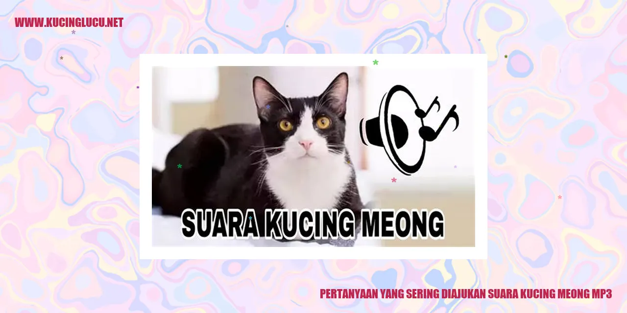 Gambar Kucing Meong