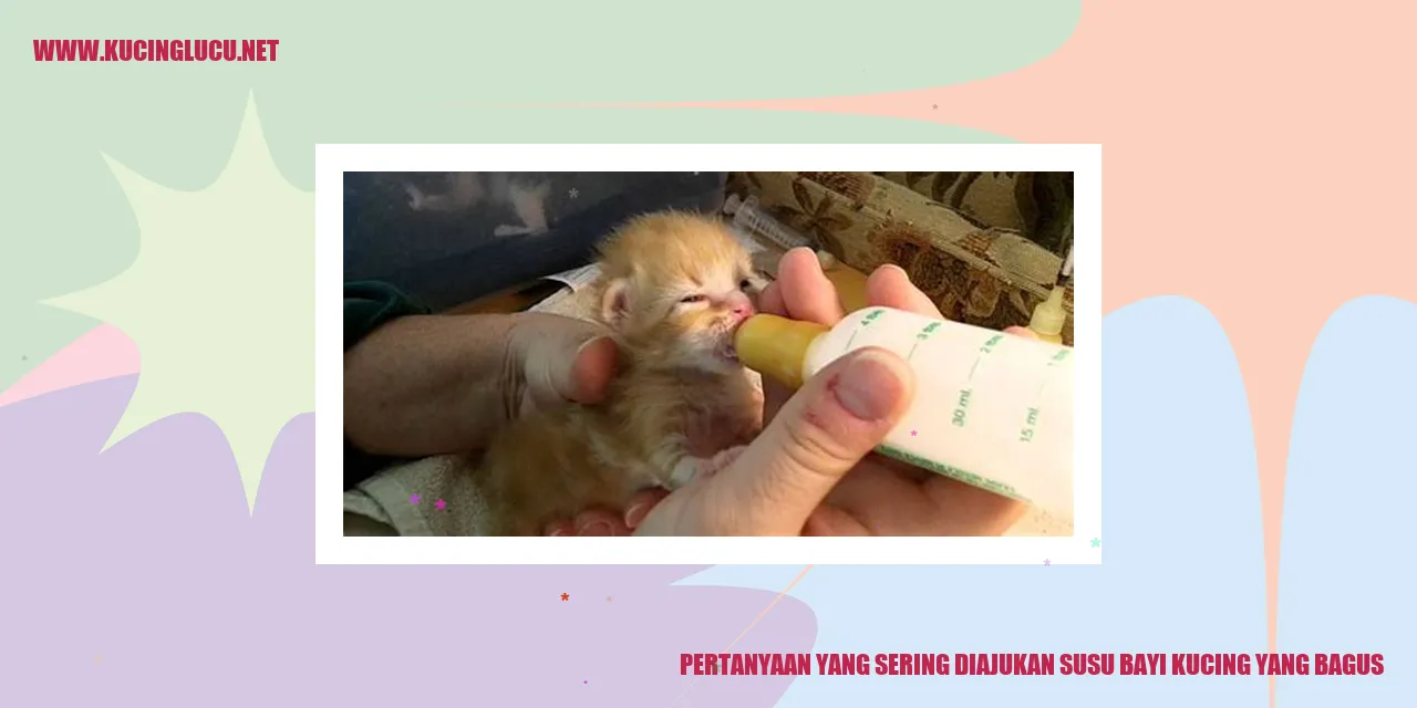Ilustrasi kucing sedang minum susu