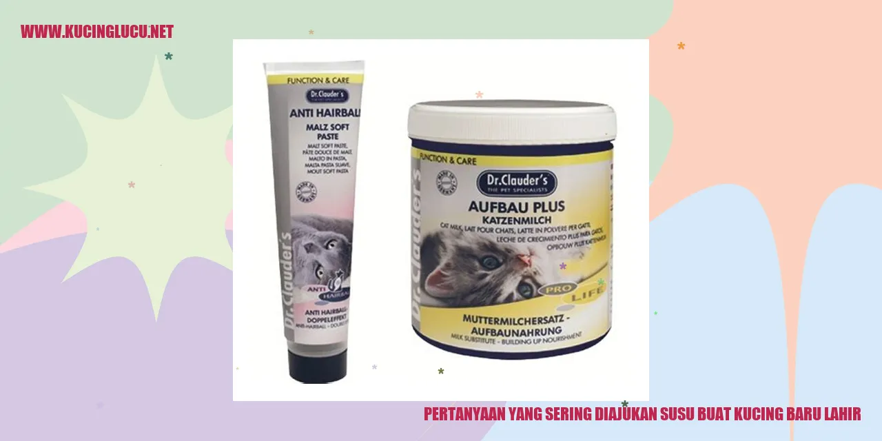 Pertanyaan yang Sering Diajukan susu buat kucing baru lahir