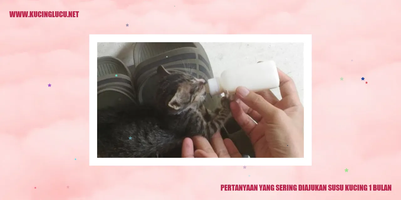 Susu Kucing 1 Bulan